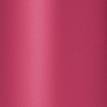Salon Services Carina Beauty Box Small Pink Punk