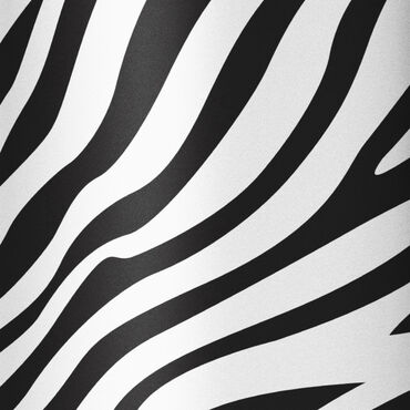 Funky Fobz Analogue Silicone Fob Watch Zebra