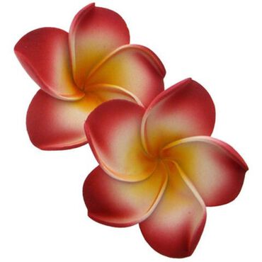 SBC Reusable Floating Petals Pink Pack of 10