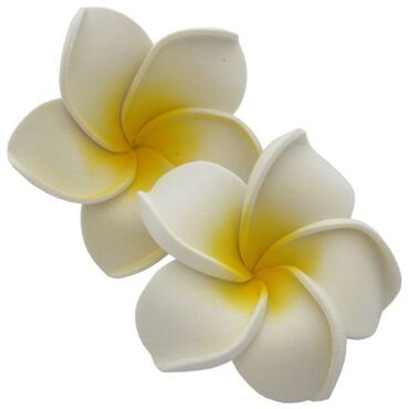SBC Reusable Floating Petals White Pack of 10